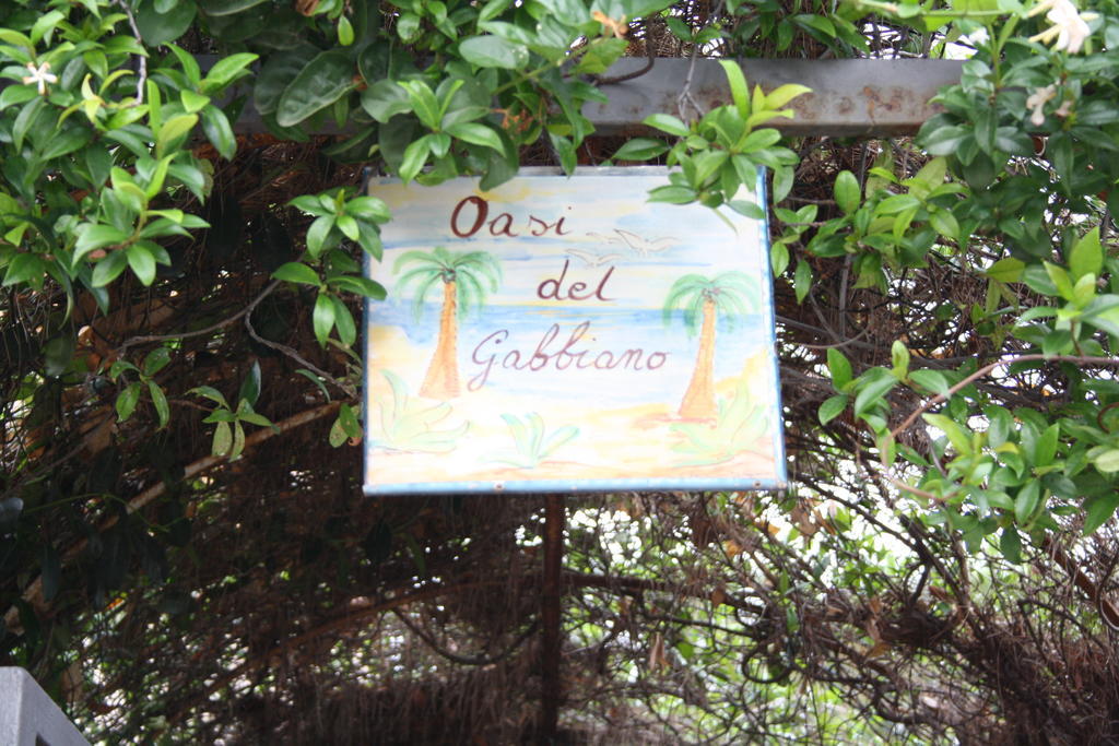 Oasi Del Gabbiano Bed and Breakfast Syracuse Eksteriør billede
