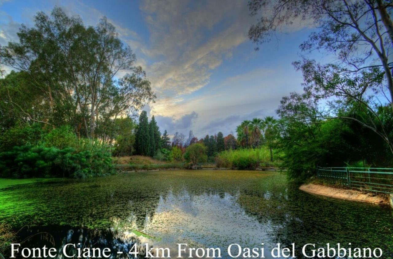 Oasi Del Gabbiano Bed and Breakfast Syracuse Eksteriør billede